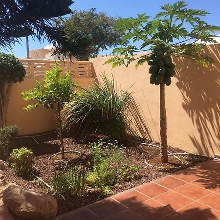 Independiente Estudio En Acogedora Casita De Mai Costa Adeje  Eksteriør bilde