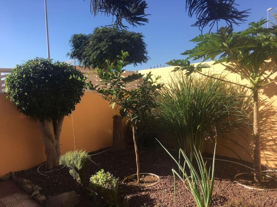 Independiente Estudio En Acogedora Casita De Mai Costa Adeje  Eksteriør bilde
