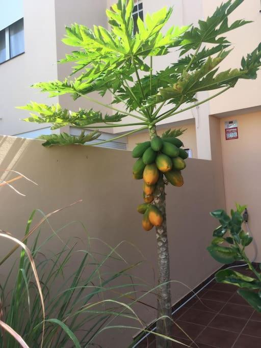 Independiente Estudio En Acogedora Casita De Mai Costa Adeje  Eksteriør bilde