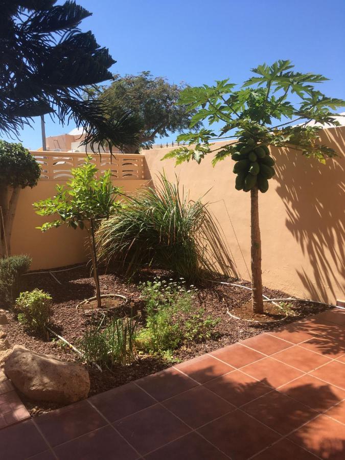 Independiente Estudio En Acogedora Casita De Mai Costa Adeje  Eksteriør bilde